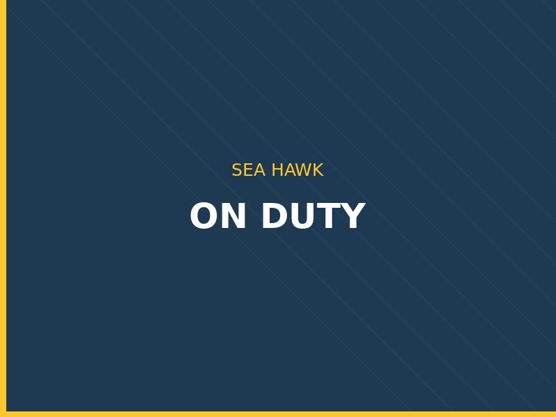 Sea Hawk security team on parade